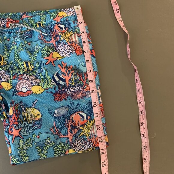 Boardies Boys 9 10 Swim Trunks Blue Fish Underwater Board Shorts Lined Colorful - Picture 13 of 16